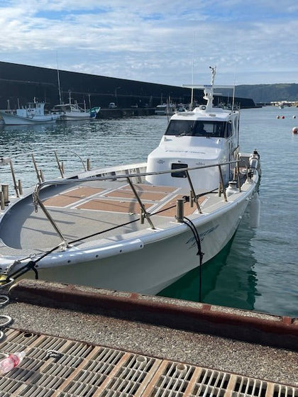 Deep Liner Tour - SPJ Labs