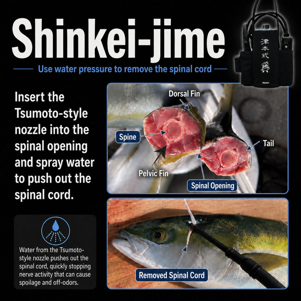 Tsumoto Style Portable Electric Fish Bleeding Pump