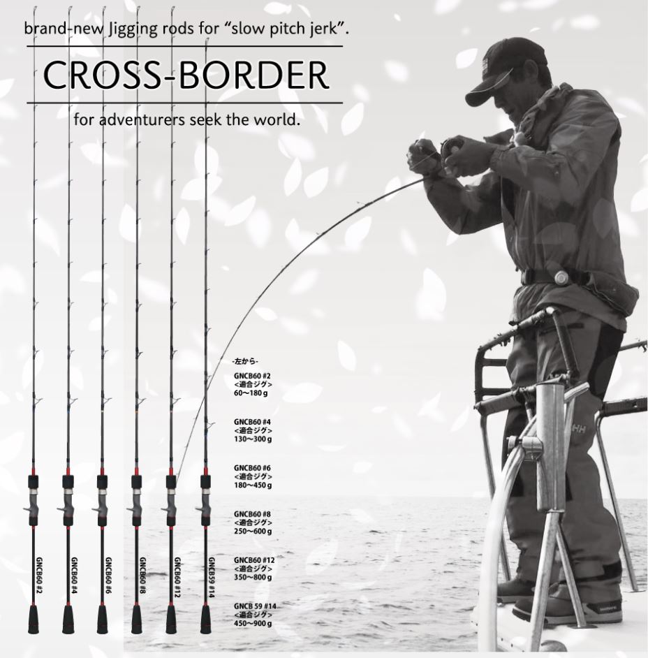 CROSS-BORDER – SPJ Labs